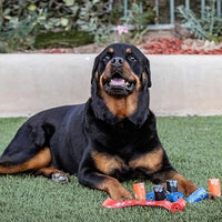 Dog Poop Bags Roll with Paw Print Design for Pet Waste Cleanup