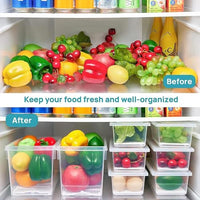 Lakshiv Enterprise Refrigerator Storage Container with Lid and Removable Base Tray, Transparent Plas