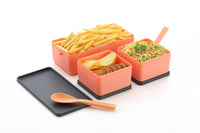 Lakshiv Enterprise Lunch Box Set with Compartments and Cutlery | Double Layer Stackable Food Contain