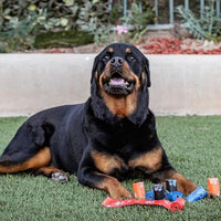 Dog Poop Bags Roll with Paw Print Design for Pet Waste Cleanup