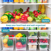 Lakshiv Enterprise Refrigerator Storage Container with Lid and Removable Base Tray, Transparent Plas
